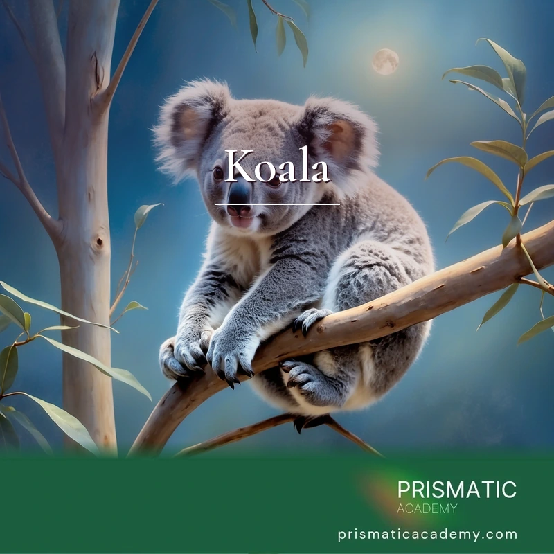 Koala Healing Attunement